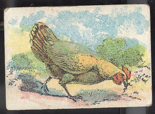 Assorted Antique Game Cards Animals Assorted Antique Game Cards Animals