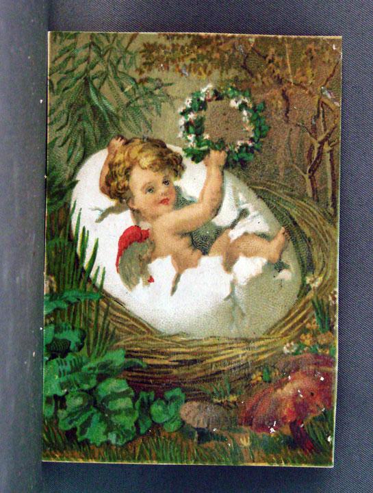  Pacific Tea Co. Cherub Hatching From Egg from carolynstt on Ruby Lane