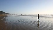 West Coast Antiques & Vintage Collectibles