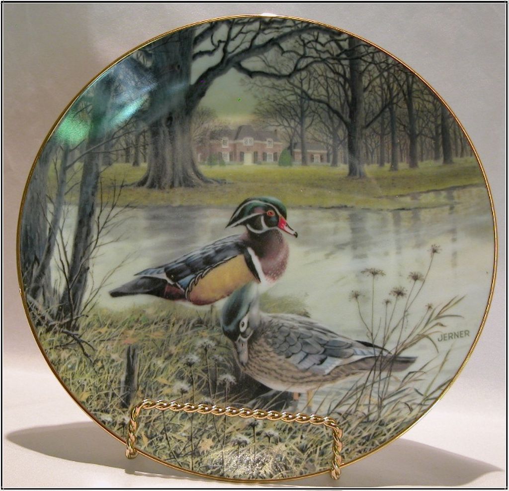 Duck Plate