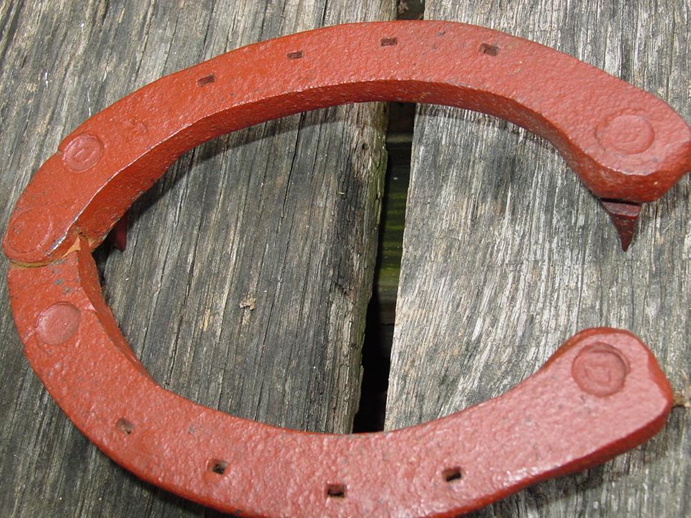 Horseshoe Adjustable with Ice Snow Cleats Diamond Calk Farrier Horse Shoe Horseshoe Adjustable with Ice Snow Cleats Diamond Calk Farrier Horse Shoe