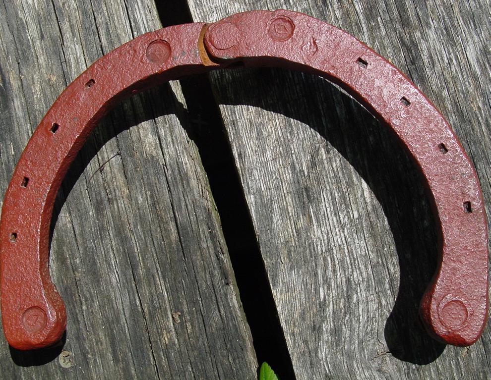 Horseshoe Adjustable with Ice Snow Cleats Diamond Calk Farrier Horse Shoe Horseshoe Adjustable with Ice Snow Cleats Diamond Calk Farrier Horse Shoe