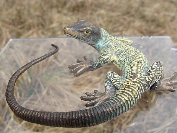 Antique Vienna Bronze of a lizard dated at the 19th century Antique Vienna Bronze of a lizard dated at the 19th century