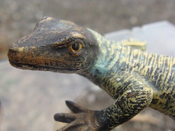 Antique Vienna Bronze of a lizard dated at the 19th century Antique Vienna Bronze of a lizard dated at the 19th century