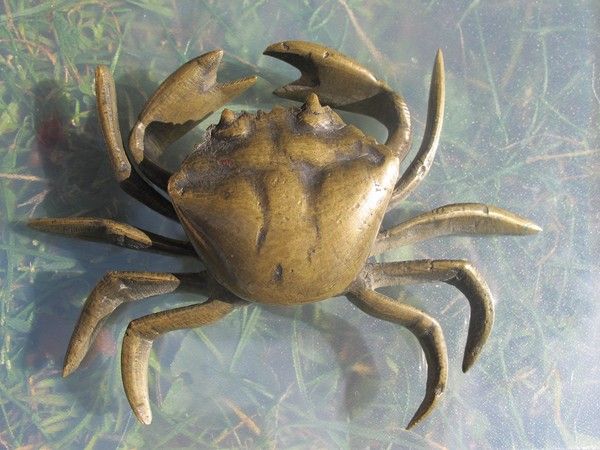 Beautiful Vienna Bronze crafted and cast as a crab, early 20th century Beautiful Vienna Bronze crafted and cast as a crab, early 20th century