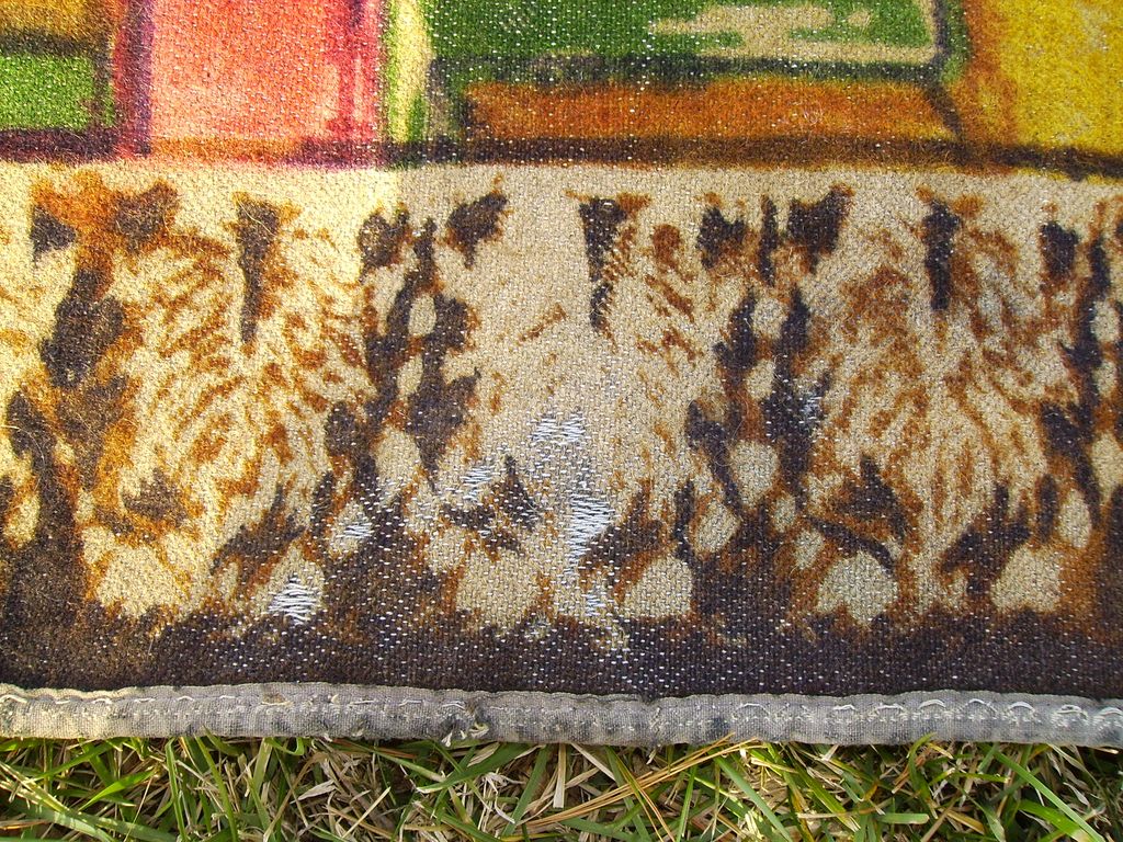 Victorian Chase Buggy Blanket or Lap Throw With Cat & Dog Scene Victorian Chase Buggy Blanket or Lap Throw With Cat & Dog Scene