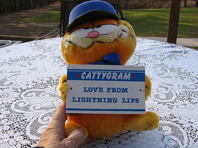 New 1978 Plush "Garfield Messenger Of Love" New 1978 Plush "Garfield Messenger Of Love"