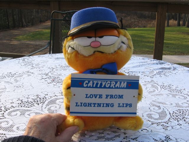 New 1978 Plush "Garfield Messenger Of Love" New 1978 Plush "Garfield Messenger Of Love"