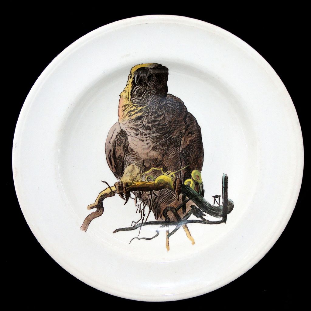 Rare Minton Naturalist Series Bowl ~ PARROT c1860 W S Coleman Staffordshire Rare Minton Naturalist Series Bowl ~ PARROT c1860 W S Coleman Staffordshire