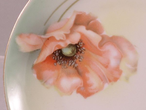 RS Germany Hand Painted Poppy Plates Set of Six RS Germany Hand Painted Poppy Plates Set of Six