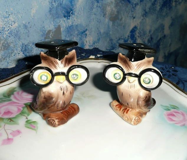 Set of Smart Owls Salt and Pepper Shakers Set of Smart Owls Salt and Pepper Shakers