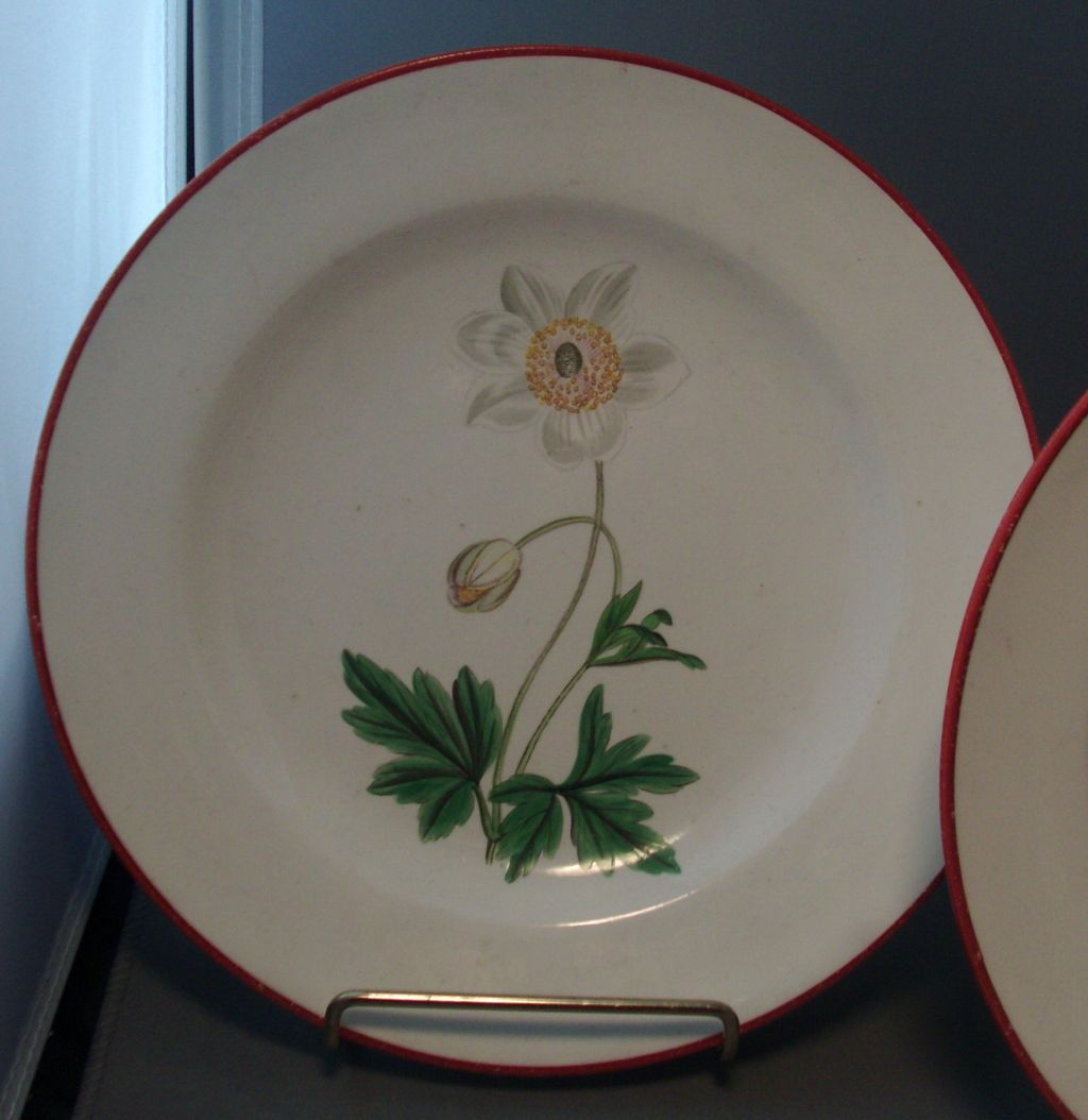 Pair Antique early 19th century English Creamware Botanical Plates 1810 Pair Antique early 19th century English Creamware Botanical Plates 1810