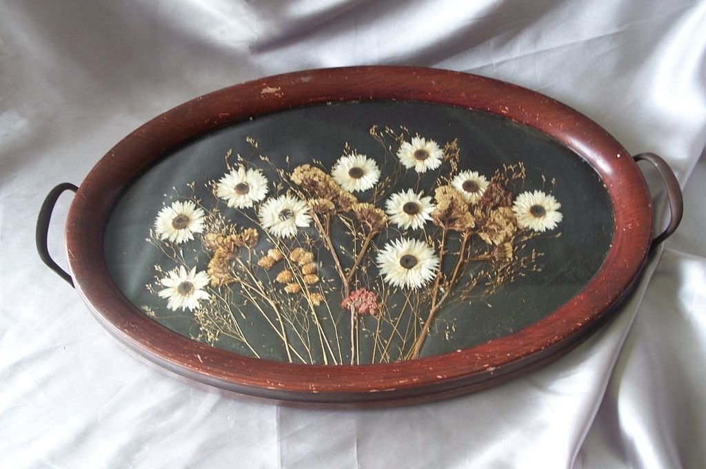 Victorian Dried and Pressed Flower Tray from colemanscollectibles on