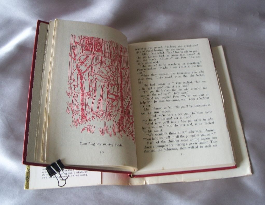 The Happy Hollisters and the Mystery Of The Golden Witch The Happy Hollisters and the Mystery Of The Golden Witch