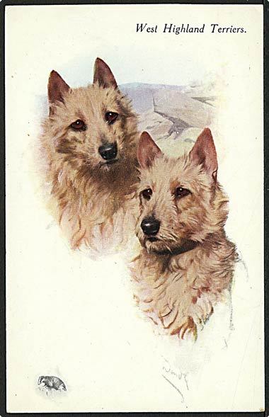 "West Highland Terriers" (1930') "West Highland Terriers" (1930')