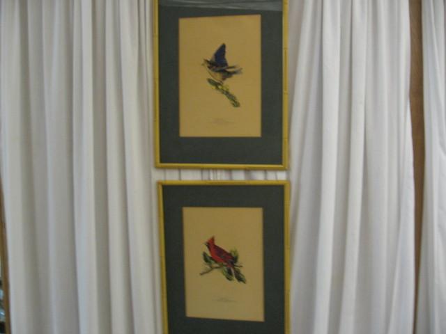 Audubon Fragment Plate # 159 &113 From Elephant Edition - London Audubon Fragment Plate # 159 &113 From Elephant Edition - London