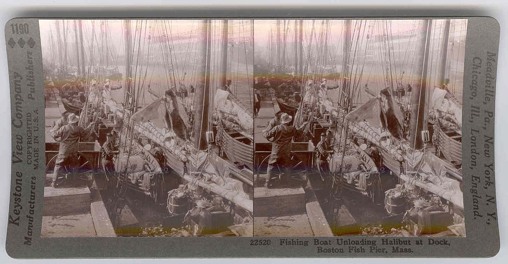 Rare Circa 1920 Boston Fishing Fleet Stereo View - Sailing Ship Unloading Catch at Boston Fishing Wharf - Keystone View Rare Circa 1920 Boston Fishing Fleet Stereo View - Sailing Ship Unloading Catch at Boston Fishing Wharf - Keystone View