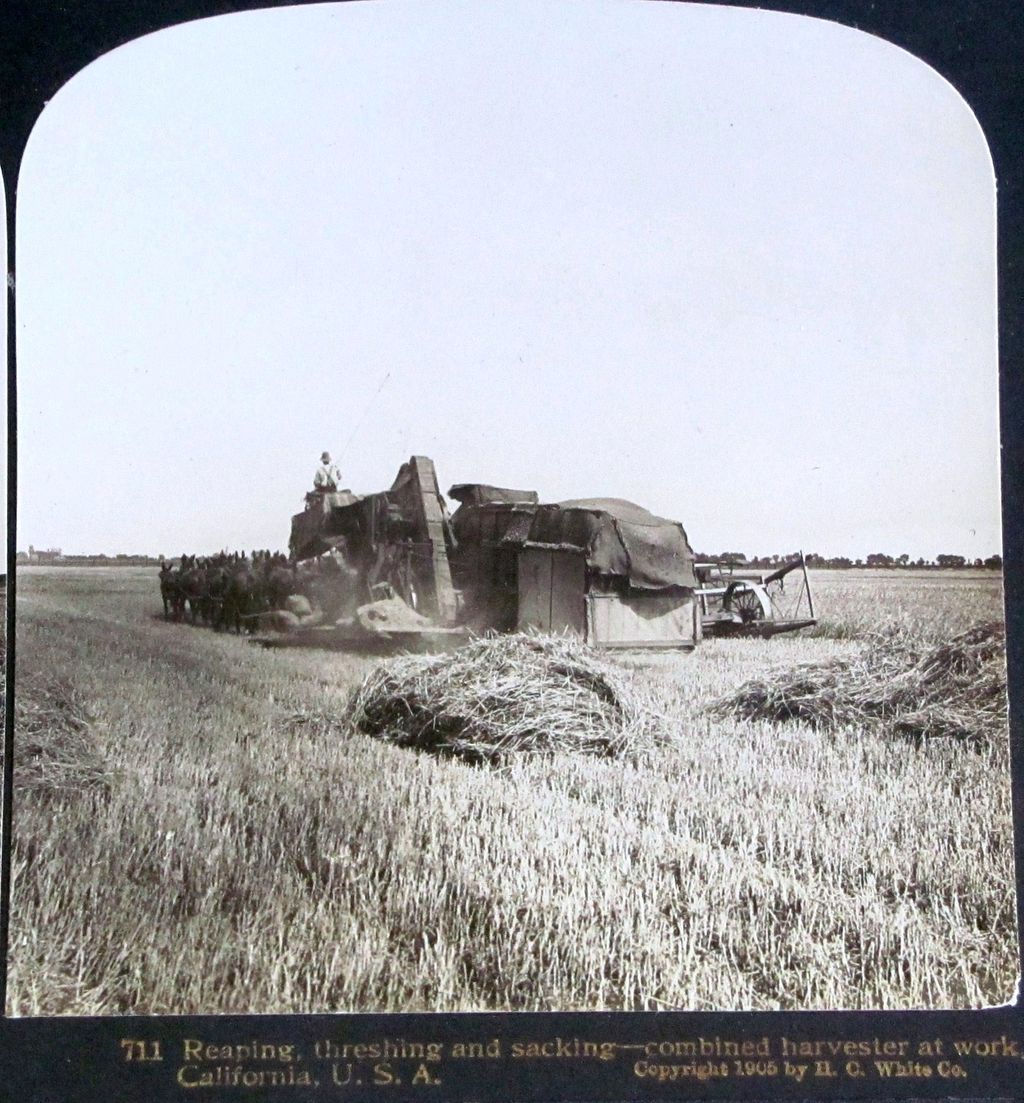 Seven Vintage 1900s Sacramento Valley California Grain Harvesting Stereo Views – Grain Farming - Horse-Drawn and Steam-Powered Farm Machinery - Combined Harvesters – Threshing Machine – H.C. White Co. Publisher Seven Vintage 1900s Sacramento Valley California Grain Harvesting Stereo Views – Grain Farming - Horse-Drawn and Steam-Powered Farm Machinery - Combined Harvesters – Threshing Machine – H.C. White Co. Publisher