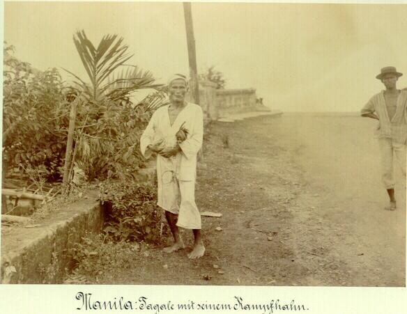 "Tagal Man with his Fighting Cock". Fine Photo from Manila "Tagal Man with his Fighting Cock". Fine Photo from Manila