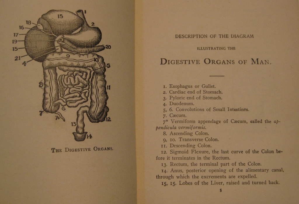 The Road to Health or the Secret of Health Without Drugs, 1906 The Road to Health or the Secret of Health Without Drugs, 1906