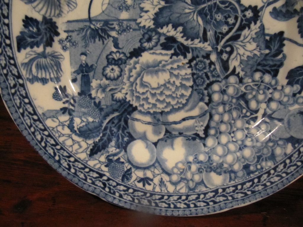 Staffordshire Transferware Plate C.1820 Rogers Wild Floral Staffordshire Transferware Plate C.1820 Rogers Wild Floral