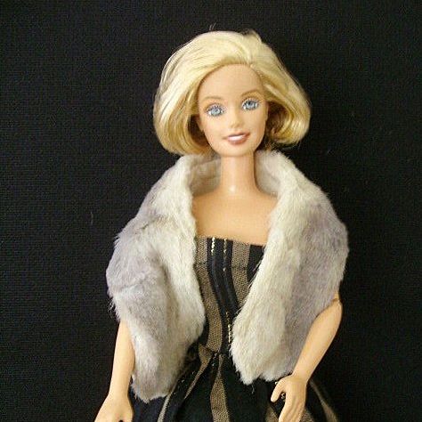Stunning Home Fashioned Fur Stole Stunning Home Fashioned Fur Stole