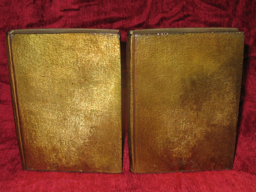 Pair of Antique Art Nouveau Bookends with Fairies and Butterflies Pair of Antique Art Nouveau Bookends with Fairies and Butterflies