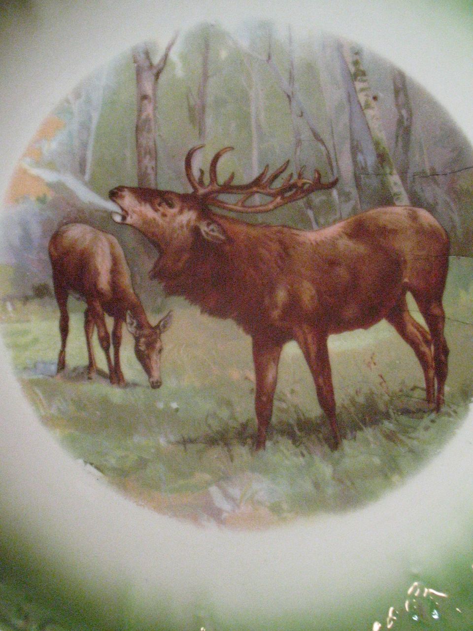 Porcelain Transferware Elk Game Plate Porcelain Transferware Elk Game Plate