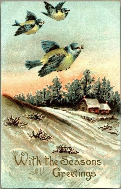 Vintage Post Card Seasons Greetings Birds with Winter Scene Vintage Post Card Seasons Greetings Birds with Winter Scene