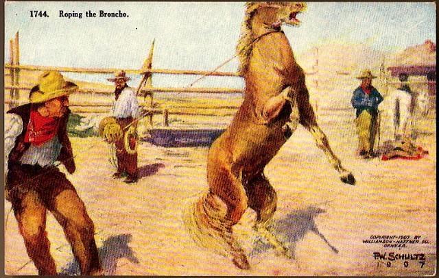 Vintage Post Card Western Artist Signed Cowboy "Roping the Broncho" Vintage Post Card Western Artist Signed Cowboy "Roping the Broncho"