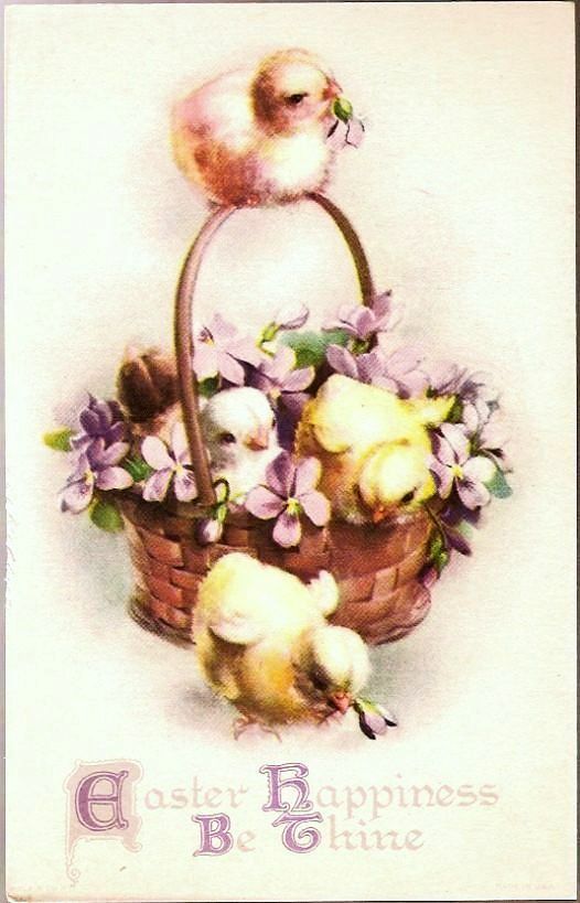 Vintage Post Card Easter Chicks with Basket of Violets Vintage Post Card Easter Chicks with Basket of Violets