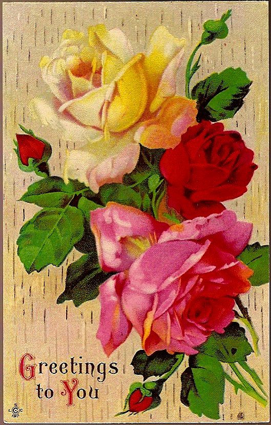 Vintage Post Card Greetings Red, Pink and Yellow Roses Vintage Post Card Greetings Red, Pink and Yellow Roses