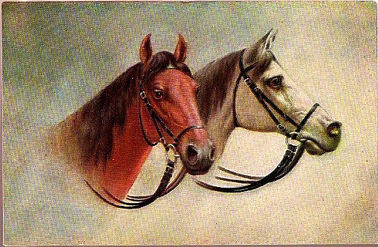 Vintage Post Card Art Two Horses with Bridals Vintage Post Card Art Two Horses with Bridals