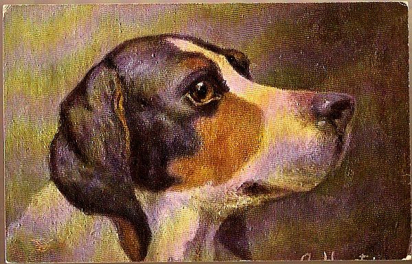 Vintage Post Card Art Hunting Hound Dog Vintage Post Card Art Hunting Hound Dog