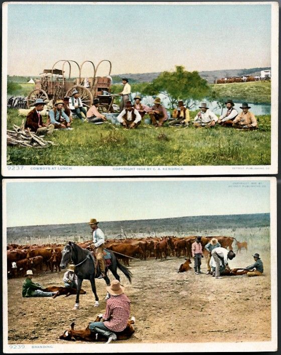 Vintage Post Cards Western Cowboys, Horses and Cattle (2) Vintage Post Cards Western Cowboys, Horses and Cattle (2)