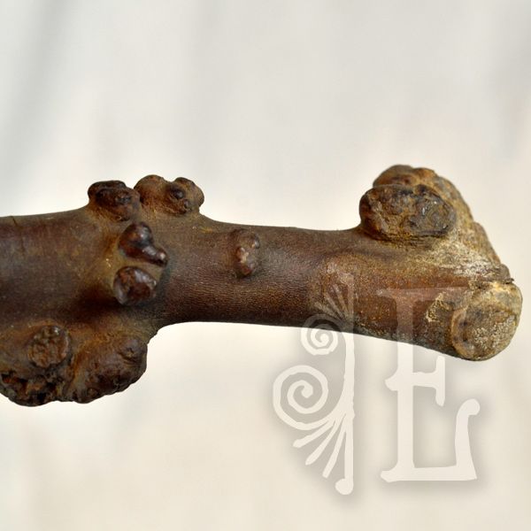 Textural Burl Wood "Immortal" Chinese Cane Textural Burl Wood "Immortal" Chinese Cane