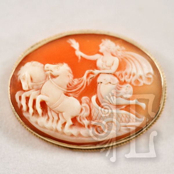 Beautiful Antique 14K Gold Goddess Selene Conch Shell Cameo Beautiful Antique 14K Gold Goddess Selene Conch Shell Cameo
