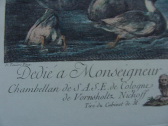 Hand-Colored French Engraving of Ducks and Rabbits Hand-Colored French Engraving of Ducks and Rabbits