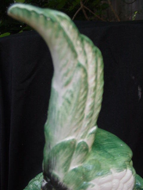 Fabulous Mottahedeh Green Parrot on Tree Trunk Perch, Italy Fabulous Mottahedeh Green Parrot on Tree Trunk Perch, Italy