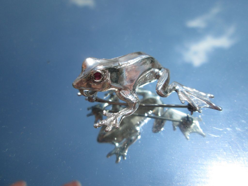 Sterling Frog/Ruby Eyes Brooch Combination Pendant with Sterling Chain Sterling Frog/Ruby Eyes Brooch Combination Pendant with Sterling Chain