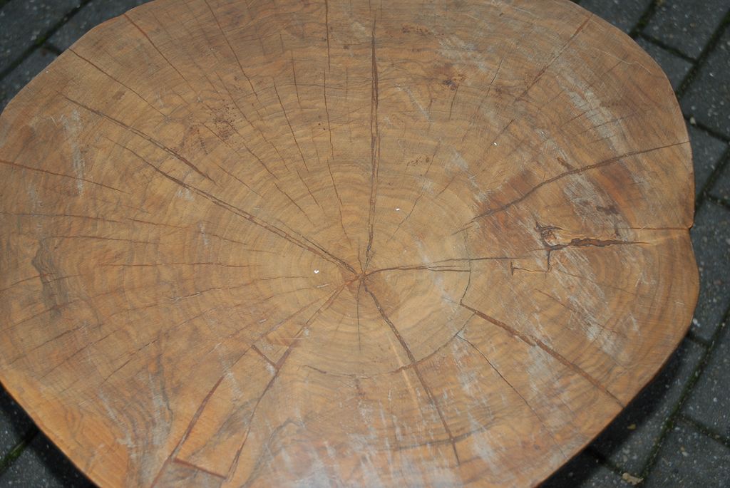 Lovely Piece of Trunk Walnut Coffee Table / Side Table Lovely Piece of Trunk Walnut Coffee Table / Side Table