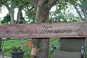 Falkys Treasures