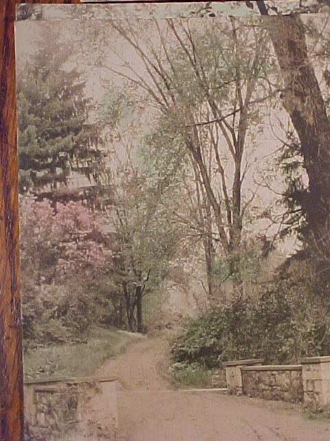Three Hand Tinted Scenic Postcards Three Hand Tinted Scenic Postcards