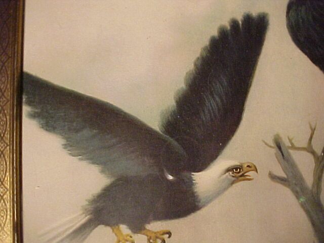 Vintage Eagle Print Vintage Eagle Print
