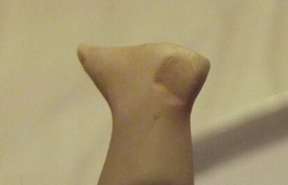 Unidentified Little Barefoot All Bisque Googly Unidentified Little Barefoot All Bisque Googly