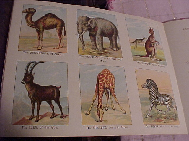Rare Tuck's Children's Book " Father Tuck's Menagerie" Rare Tuck's Children's Book " Father Tuck's Menagerie"