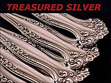 Treasured Silver Treasured Silver