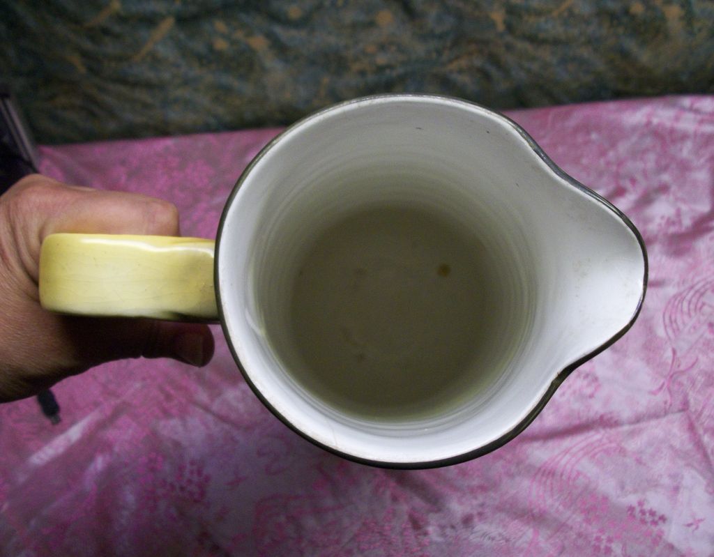 14" Haynes Ware Pottery TALL Pitcher Grasslands and Cow Pattern 14" Haynes Ware Pottery TALL Pitcher Grasslands and Cow Pattern
