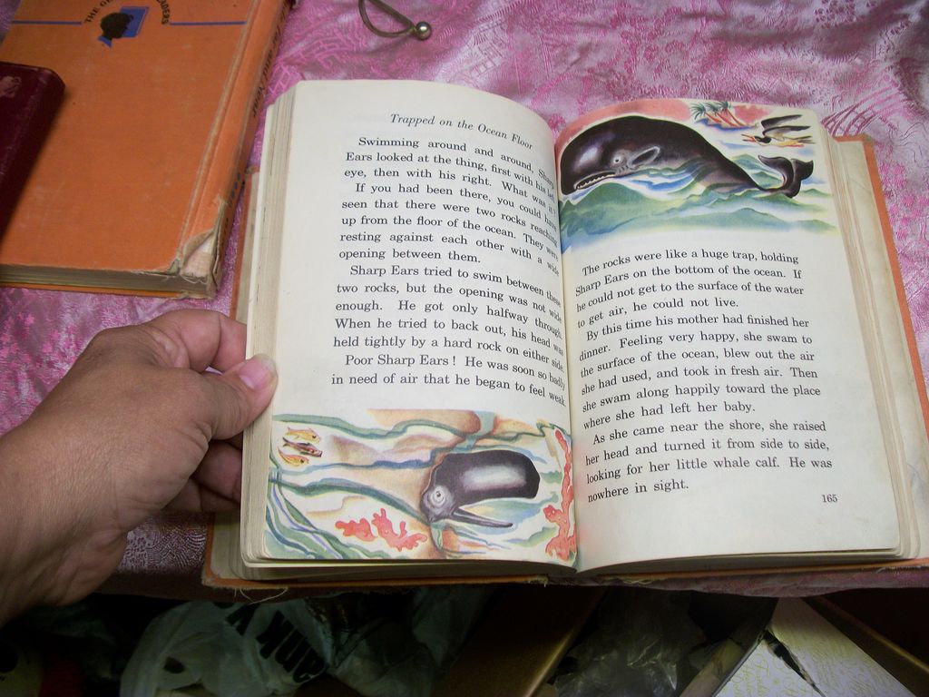 1949 Ginn School Book Friends Far and Near 1949 Ginn School Book Friends Far and Near