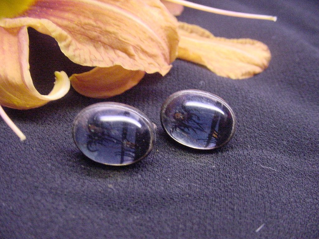 Vintage Morpho Butterfly Wing Sterling Silver Earrings 1920's Vintage Morpho Butterfly Wing Sterling Silver Earrings 1920's